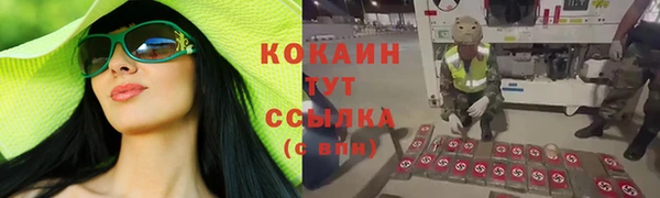 тгк Абдулино